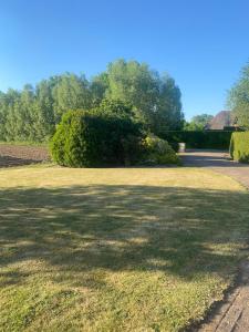 a large grassy yard with a tree in the background at Vakantiehuisje Wekerom in Wekerom