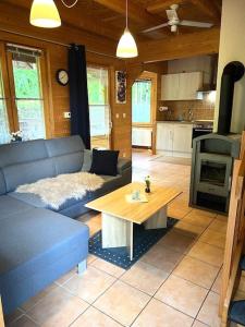 ein Wohnzimmer mit einem blauen Sofa und einem Tisch in der Unterkunft Ferienhaus Leonie, Holzhaus im Pfälzer Wald 76848 Hofstätten 