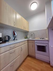 Η κουζίνα ή μικρή κουζίνα στο Studio Nr. 312 im Haus Alb