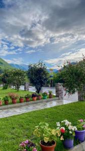 A garden outside Lugina e Komanit