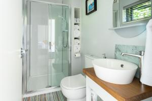 a bathroom with a shower and a sink and a toilet at The Loft, Apple Lodge & Blossom Lodge in Macroom +104 photos