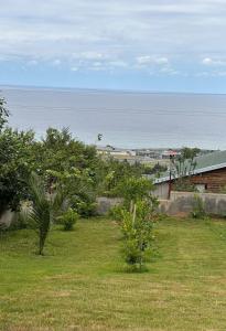 a view of the ocean from a house at Trabzon House - Pool, Sea View & Nature in Bostancı