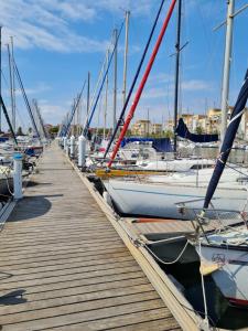 a bunch of boats docked at a dock at Quatre Vent in Gruissan +6 photos