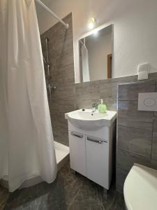 a bathroom with a sink and a shower and a toilet at Agroturystyka Żółta Ostoja in Lipowo