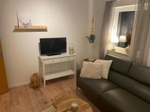 a living room with a green couch and a television at Urlaubshaus-Braunlage Wohnung 2 in Braunlage +7 photos