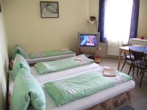 Ένα ή περισσότερα κρεβάτια σε δωμάτιο στο Penzión Slávia