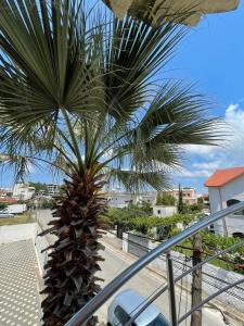 a palm tree sitting on top of a balcony at Villa Roni in Durrës