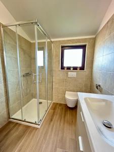 a bathroom with a shower and a toilet and a sink at Apartments Ana in Novigrad Istria