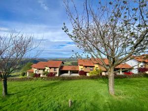 Příroda nedaleko rezortu