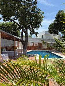 uma piscina com uma árvore ao lado de uma casa em Hotel Jardin Boutique rodadero em Santa Marta