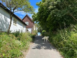 a white dog walking down a road next to a house at The Stables at The Forge Self Contained Apartment in Pyecombe