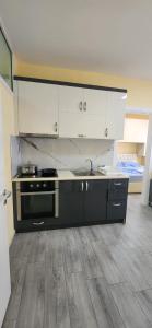 a kitchen with a sink and a stove at Summer Apartments in Shengjin in Shëngjin