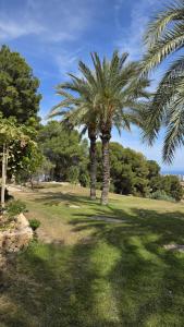 dos palmeras en un campo de hierba en Espectacular Casa Con Vistas, en Cala de Finestrat