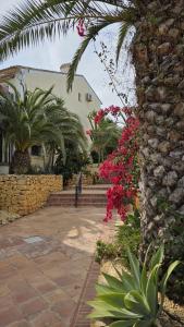 Un patio con flores rosas y un muro de piedra. en Espectacular Casa Con Vistas, en Cala de Finestrat 35 fotos más