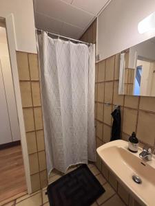 Ένα μπάνιο στο Modern city center apartment with history