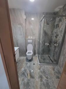 a bathroom with a toilet and a shower at Apartman MAGNIFICO in Donje Mladice
