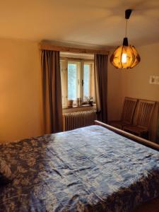 a bedroom with a large bed and a window at Holidayapartement Sentjur 2 pers in Šentjur +10 photos