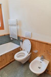 a bathroom with a toilet and a sink at Chesa Filia - La Punt in La Punt-Chamues-ch +9 photos