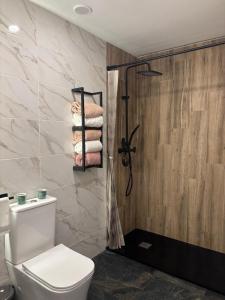 Un baño con inodoro y ducha con toallas. en Loft Llum Valencia, en Valencia 72 fotos más