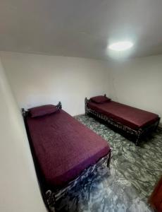 a bedroom with two beds in a room at Relatives Apartment in Mytilene