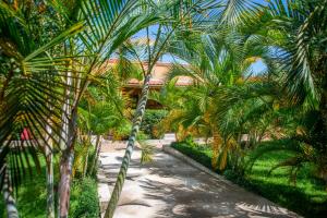 African Roots Guesthouse Entebbe tesisinin dışında bir bahçe +18 fotoğraf
