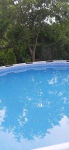 a large blue swimming pool with a tree in the background at Mazury Lake House Sailing & Nature in Dobrzyki