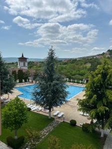 a view of a pool with chairs and a tree at Harmony Hills Tomovi Apartment F45 in Rogachevo