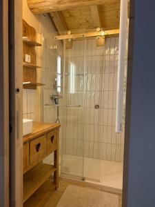 a bathroom with a shower with a glass door at Chalet des balcons in Saint-Michel-de-Maurienne +21 photos