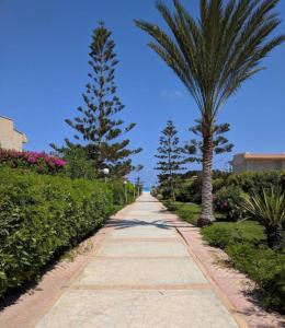 ein Bürgersteig mit zwei Palmen an der Seite in der Unterkunft 3-Bedroom Furnished Apartment - Golden Beach Resort, North Coast in Dawwār Ibrāhīm Abū Shunaywīr