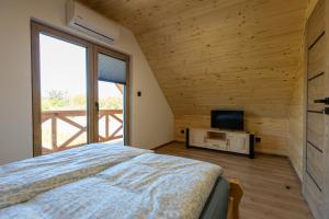 a bedroom with a bed and a television in it at Wichrowe Wzgórze Chill House Jabłonowo in Stare Miasto