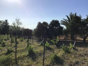 Fotografie z fotogalerie ubytování Pervolaris Cottages 2 v destinaci Goudhi