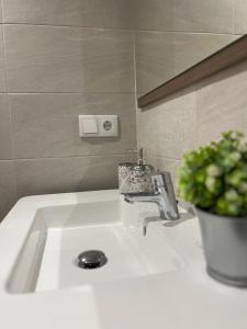 a bathroom sink with a faucet and a potted plant at La Casina del Sella in Ribadesella