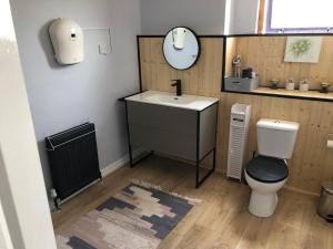 Un baño con inodoro, lavabo y espejo. en Stylish Flat in the Peak District, en Chesterfield