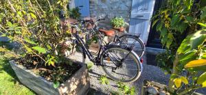 ein Fahrrad, das vor einem Haus mit Pflanzen geparkt ist in der Unterkunft Entre lac et montagne in Doussard