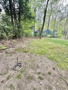 a pair of scissors sitting in the middle of a yard at KENDALL COTTAGE LIMIT 6 villa in North Sebago