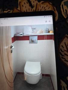 a bathroom with a white toilet in a room at Maison familiale in Plouzané +9 photos