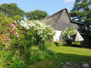 Gallery image of Romantic thatched roof house in Schnarup-Thumby