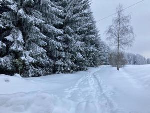 Holiday Home Altenfeld near Ski Slopes v zimě
