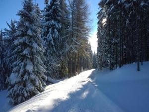 Holiday Home Altenfeld near Ski Slopes v zimě