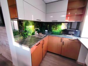 Kuchyň nebo kuchyňský kout v ubytování Green Orchid appartment