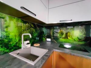 Fotografie z fotogalerie ubytování Green Orchid appartment v destinaci Rēzekne