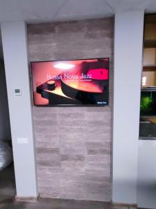 TV a/nebo společenská místnost v ubytování Green Orchid appartment