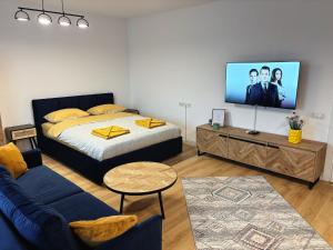 Quiet Studio Cavalerului - 1,5 km centru Pitesti في Valea Mare-Podgoria: غرفة نوم بها سرير وجهاز تلفزيون معلق على الحائط
