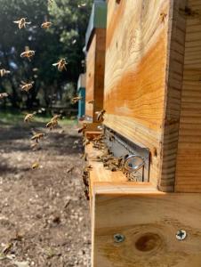 Foto sihtkohas Pennautier asuva majutusasutuse Échappée Vigneronne galeriist