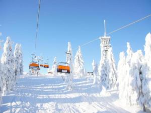 Mynd úr myndasafni af Snug Apartment in Jachymov near Ski area í Jáchymov