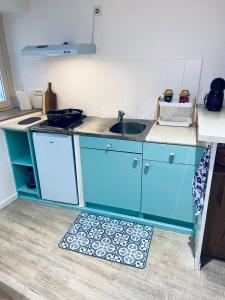 a kitchen with blue cabinets and a sink and a rug at Terracotta, Appartement, Centre historique in Auch +12 photos