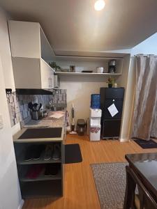 Cozy & Convenient 1-Bedroom Condo 3 mins Away from the Airport的厨房或小厨房