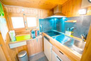 Kuchyň nebo kuchyňský kout v ubytování Chalet vue Alpes et lac