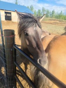 Foto dalla galleria di Bass Farm Lake View Loft Cabin a Wasilla