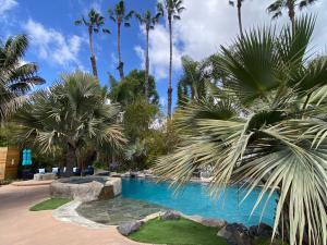 a swimming pool in a resort with palm trees at NEW LUXURY ESTATE - Sleeps 22 - Saltwater Pool, Spa, Waterfall With Cave Grotto! in Vista
